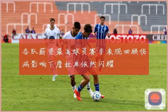 各队薪资最高球员赛季表现回顾伤病影响下詹杜库依然闪耀