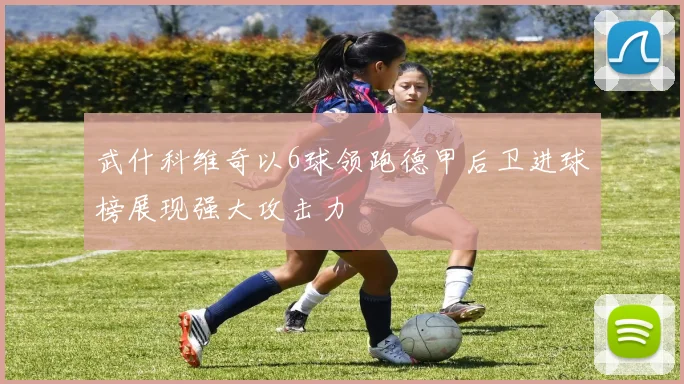 武什科维奇以6球领跑德甲后卫进球榜展现强大攻击力