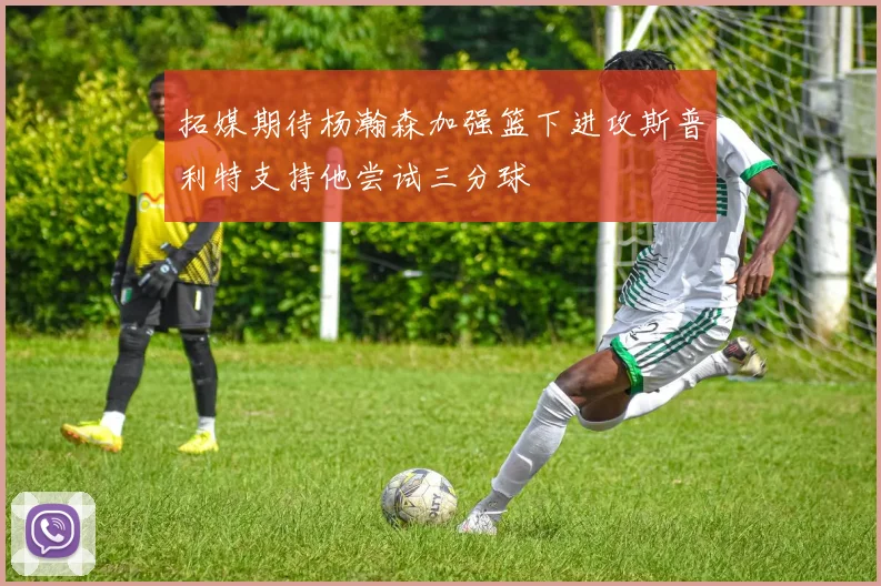 拓媒期待杨瀚森加强篮下进攻斯普利特支持他尝试三分球